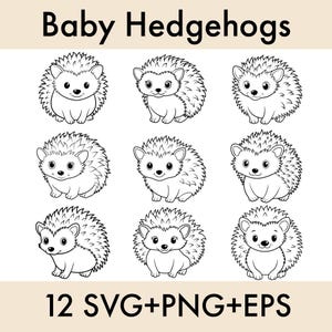 Adorable bébé hérisson SVG PNG EPS Bundle - illustrations fantaisistes de la forêt pour le bricolage