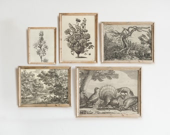 Vintage Gallery Wall Set | French Country Decor - Animal and Botanical Sketches - Printable DIGITAL DOWNLOAD