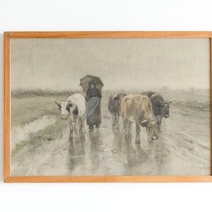 May include: A watercolor painting of a woman with an umbrella walking behind a group of cows on a rainy day.