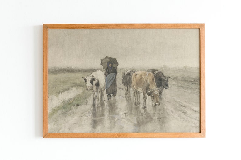 May include: A watercolor painting of a woman with an umbrella walking behind a group of cows on a rainy day.