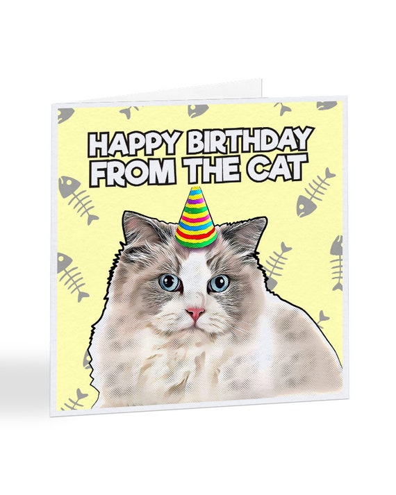 Happy Birthday From The Cat Ragdoll Birthday Card | Etsy