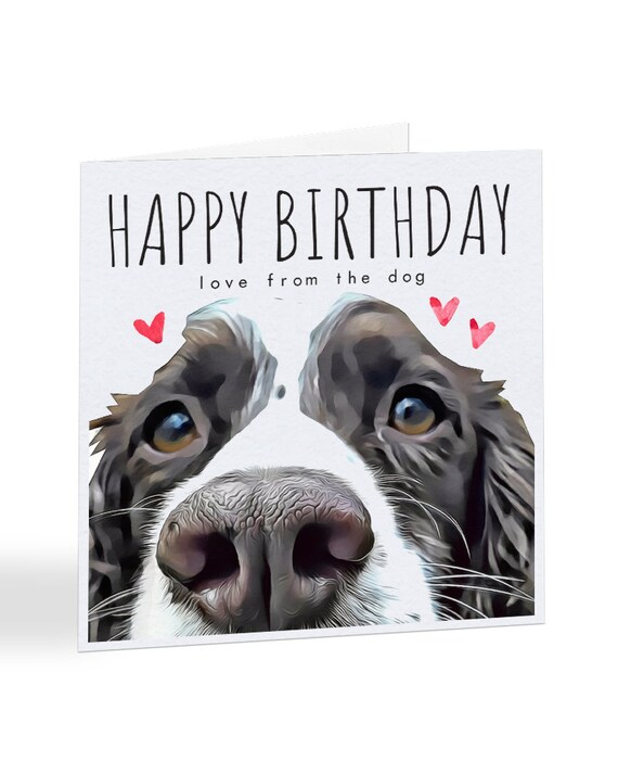 Joyeux Anniversaire Amour Du Chien Anglais Springer Spaniel Etsy Canada