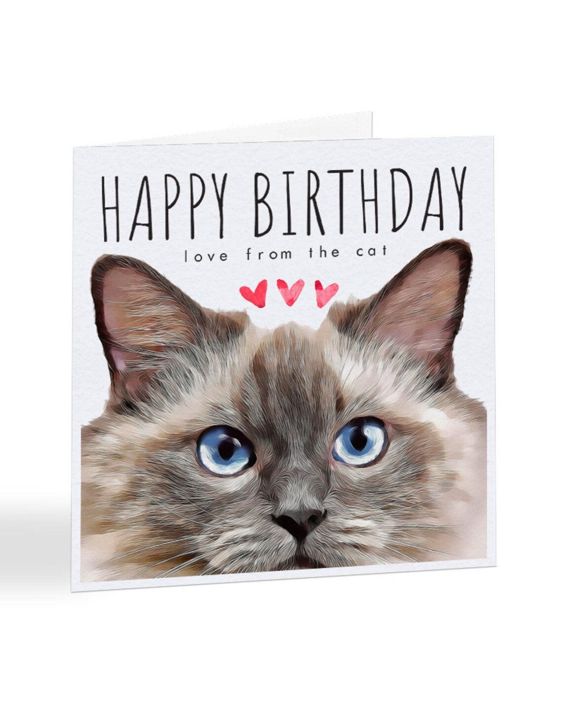 Happy Birthday Love From The Cat Ragdoll Cat Birthday Card | Etsy Happy Birthday Love From The Cat Ragdoll Cat Birthday Card | Etsy