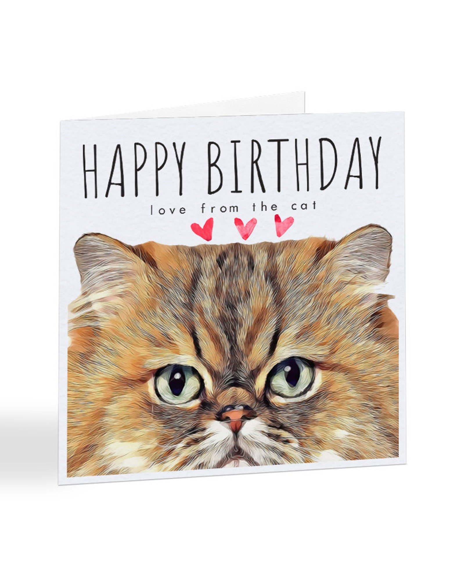 Happy Birthday Love From the Cat Persian Cat Birthday Card | Etsy
