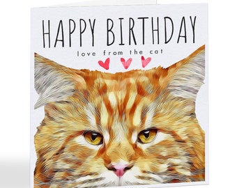 Maine Coon Birthday Etsy Maine Coon Birthday Etsy