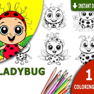 Ladybug Coloring Book For Kids: Ages 4-8 Bug Insect Preschool Children Kids  Toddler Girl Boy Learning Activity (Paperback)