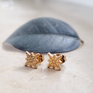 Könnte beinhalten: Ein Paar goldene Stern-Ohrstecker. Die Ohrringe haben ein detailliertes Design und sind perfekt, um jedem Outfit einen Hauch von Glanz zu verleihen.