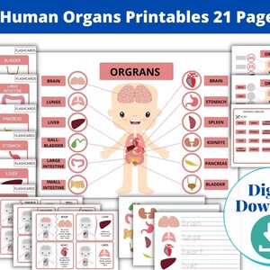 Learn Human Organs Body Pack Busy Book Homeschool Printable/ Human Anatomy/ Learning Binder Preschool Curriculum Worksheets