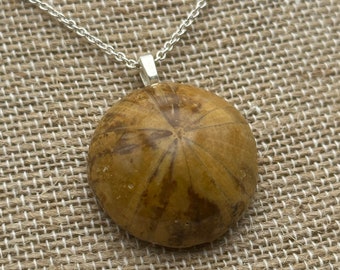 Fossilized Sand Dollar Necklace