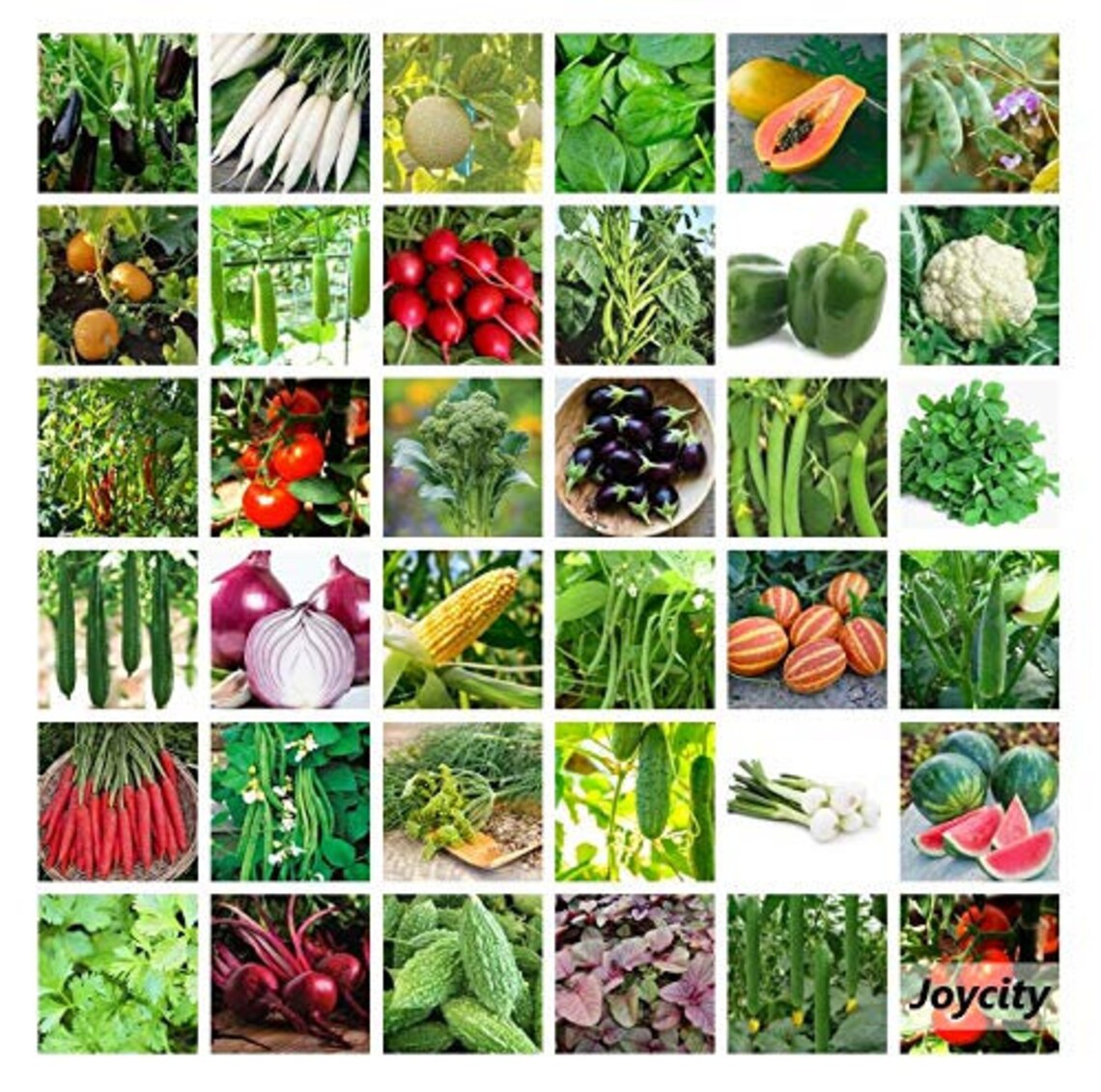 35 Varieties Of Vegetable Seeds For Kitchen Garden 1745 Etsy