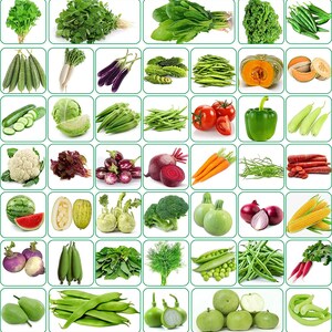 45 varietà (oltre 3500 semi) di semi di ortaggi per giardinaggio e arredamento (spedizione gratuita)