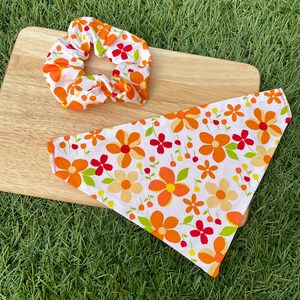Blooming Lovely Bright Orange Flower - Pet Bandana & Matching Scrunchie