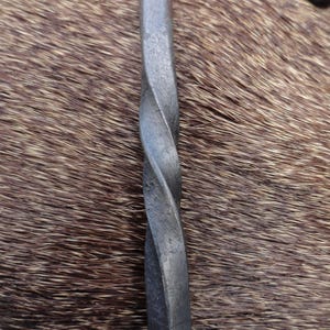 May include: Close-up of a twisted metal hook, showing the detail of the metalwork. The hook is made of dark gray metal and has a smooth, polished finish.
