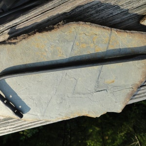 Hand forged Plant hanger