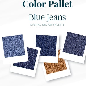 Blue Jeans Digital Miyuki Delica Color Palette | Color Inspiration