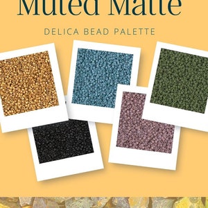 Miyuki Delica Japanese Seed Bead Bead Set | Color Palette | Bead weaving Variety Pack | Beading Starter Kit | Muted Matte