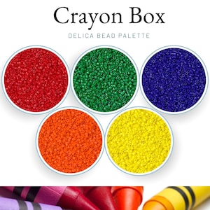 Miyuki Delica Set di perline giapponesi di perline / Tavolozza di colori / Confezione di varietà di tessitura di perline / Kit iniziale di perline / Scatola di pastelli
