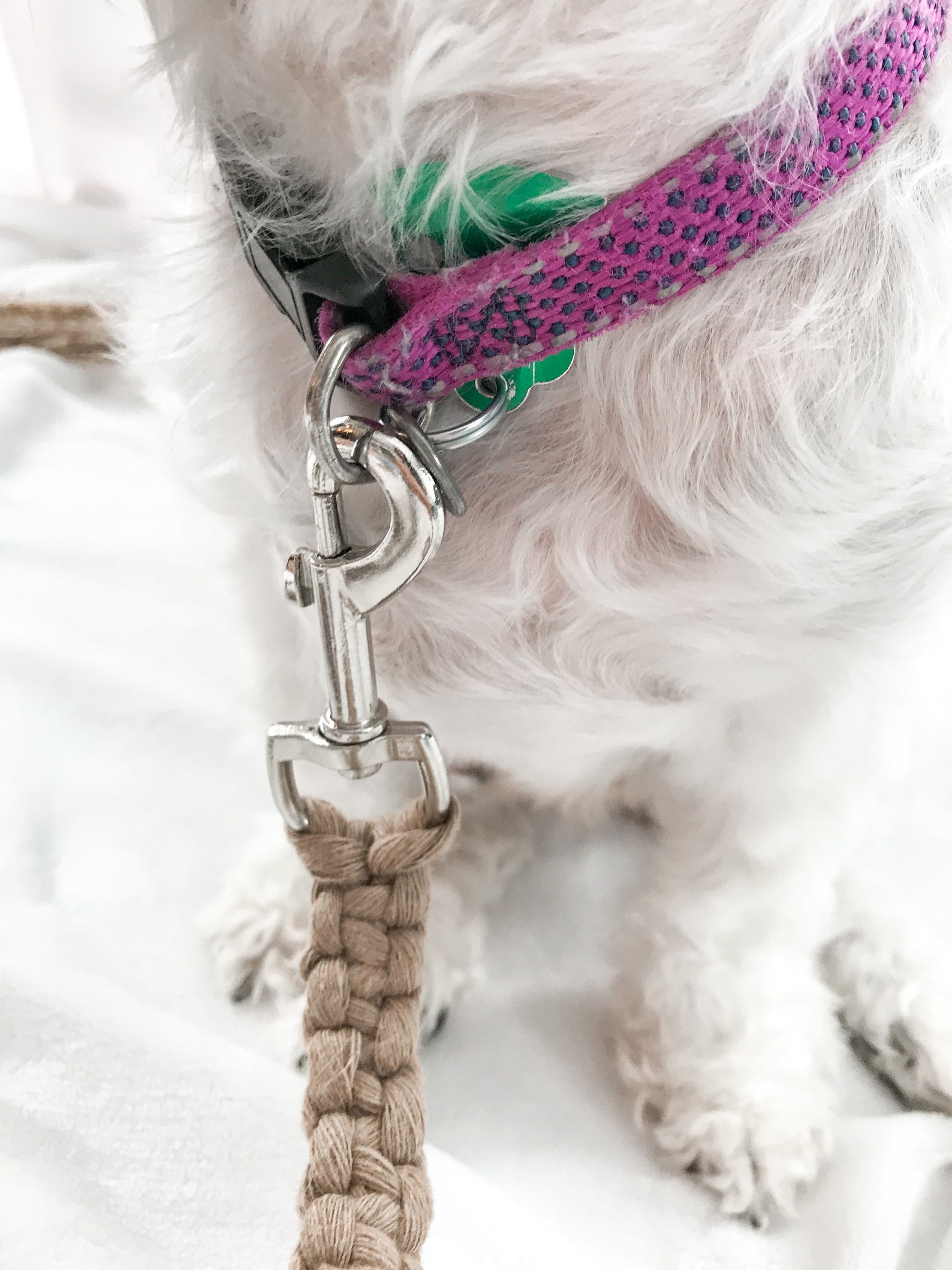 Macrame dog leash Etsy