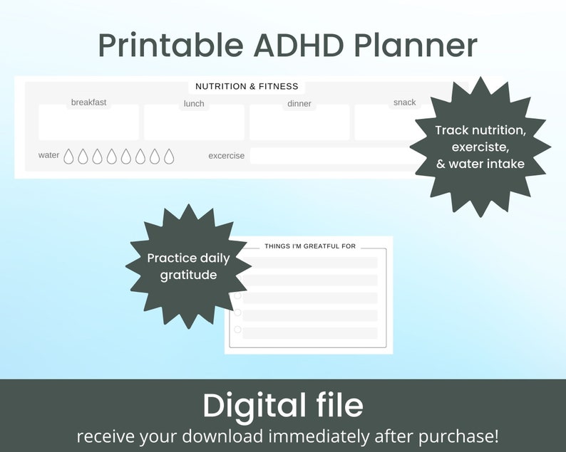 Best ADHD Planner Printable for Adult Daily Planner With Hourly Time