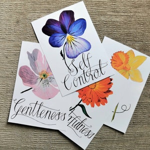 Fruits of the spirit postcards (set of 9)