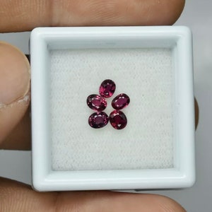 Peut inclure: Six pierres précieuses ovales de couleur rose foncé dans un coffret carré blanc.