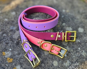 Handmade BioThane Dog Collar: Waterproof, Stink Proof, Solid Brass Hardware