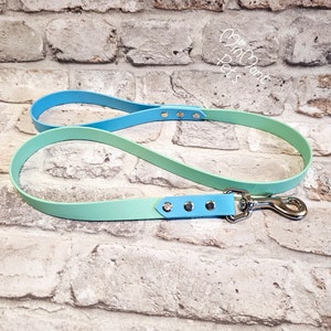 May include: A light blue and green ombre dog leash with silver hardware and rivets. The leash is made of a durable, water-resistant material.