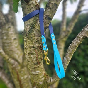 May include: A blue and turquoise dog leash with gold hardware. The leash is hanging from a tree branch.