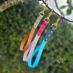 Two-Tone BioThane Dog Traffic Handle: Waterproof, Stink-Proof Lead