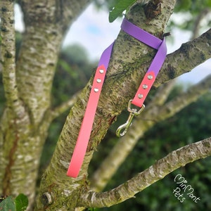 May include: A pink and purple dog leash with silver hardware. The leash is hanging on a tree branch.