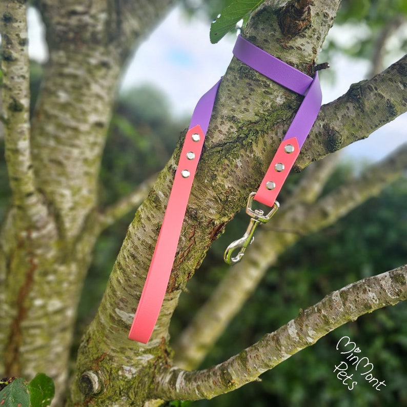 May include: A pink and purple dog leash with silver hardware. The leash is hanging on a tree branch.