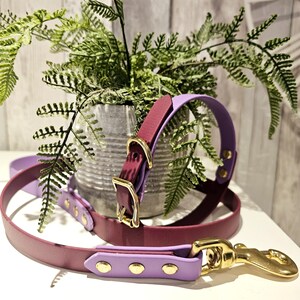 Two Tone Genuine BioThane Dog Lead. Handmade in Yorkshire. Waterproof, Durable, Stink-proof, Wipe Clean. image 7