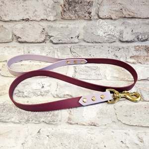 May include: A burgundy and light purple dog leash with gold hardware and gold rivets. The leash is on a brick background.