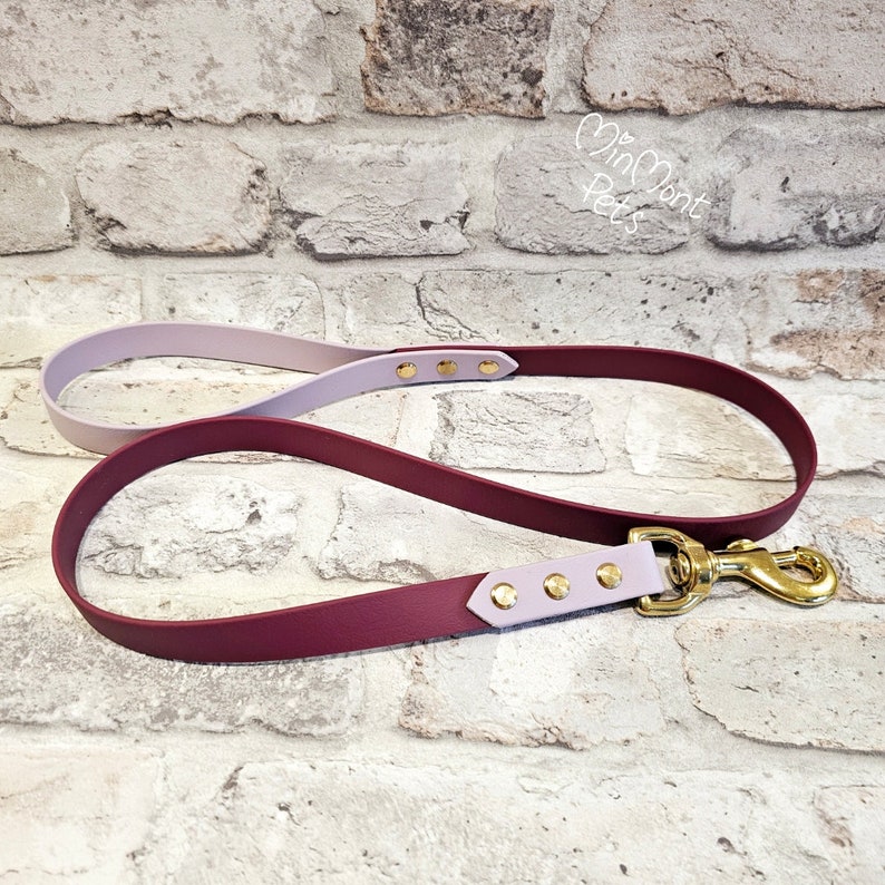 May include: A burgundy and light purple dog leash with gold hardware and gold rivets. The leash is on a brick background.