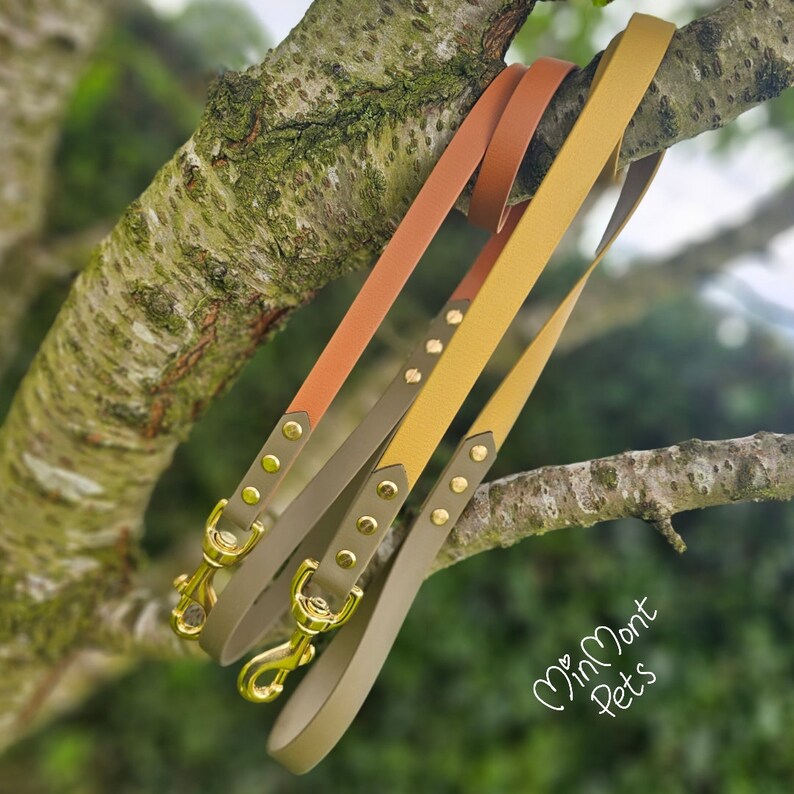 May include: Three leather dog leashes in olive green, mustard yellow, and burnt orange with gold metal hardware and clasps. The leashes are hanging from a tree branch. The text "MinMont Pets" is visible in the bottom right corner of the image.