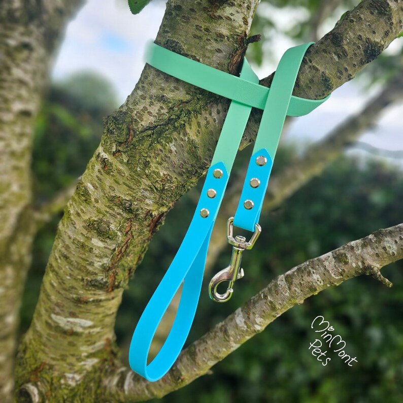 May include: A turquoise and mint green dog leash with silver hardware and a silver clip. The leash is hanging from a tree branch.