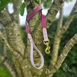 May include: A pink and burgundy dog leash with gold hardware. The leash is hanging on a tree branch.