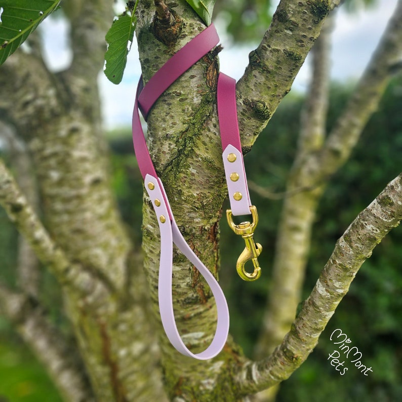 May include: A pink and burgundy dog leash with gold hardware. The leash is hanging on a tree branch.