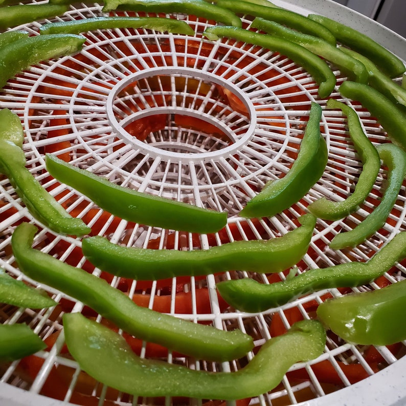 May include: Green bell pepper slices drying on a white plastic dehydrator tray. The slices are arranged in a circular pattern.