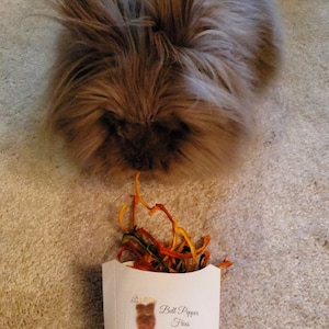 May include: A white cardboard container with a logo and the text "Bell Pepper Fries" on it. The container is filled with orange, yellow, and green bell pepper fries. A fluffy brown rabbit is looking at the fries.