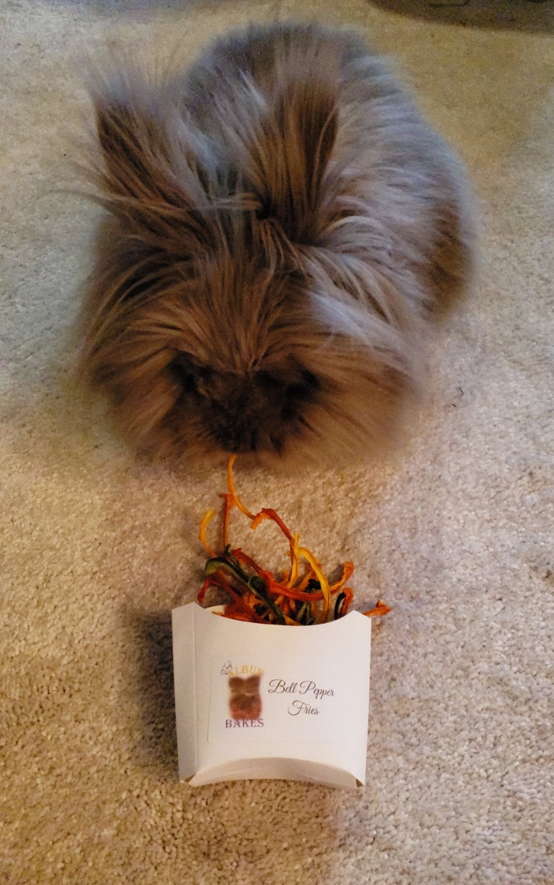May include: A white cardboard container with a logo and the text "Bell Pepper Fries" on it. The container is filled with orange, yellow, and green bell pepper fries. A fluffy brown rabbit is looking at the fries.