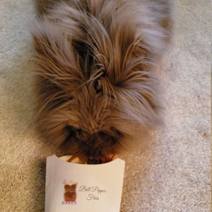 May include: A fluffy brown rabbit is eating from a white paper container with the text "Bell Pepper Fries" and a logo of a bear with the text "BAKES" underneath.