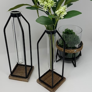 Modern Industrial Table Vase Set of 2, Test Tube Vase, Industrial Loft Farmhouse Decor, Propagation Vase