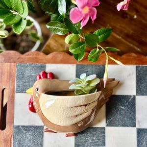 May include: A ceramic chicken-shaped planter featuring a glossy brown body with a lighter cream-colored wing section. The bird has a bright yellow beak and a vibrant red comb. A small green succulent plant is nestled inside the open top cavity.