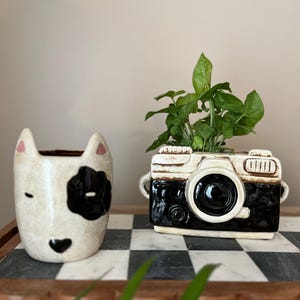 Kitschy Planters - Vintage Camera -Spotted Dog - Pot for Plants Herbs Succulent
