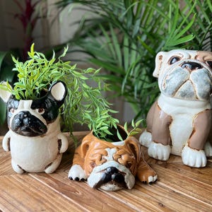 French or English Bulldog Ceramic Planter Vase Succulent Pot, Treat Jar, Go Bulldogs
