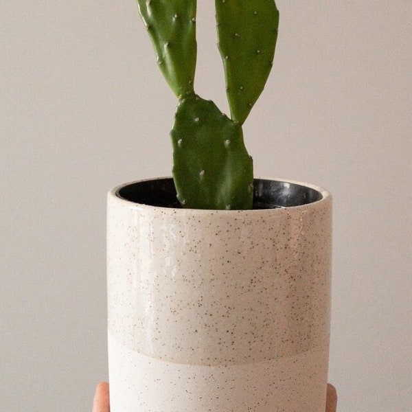 Ceramic Planter | 6 Inch | 5 Inch | 4 - 1/2 Inch Neutral Cream Earthy Beige Glazed Speckled White Ceramic Plant Pot Floral Supply Container