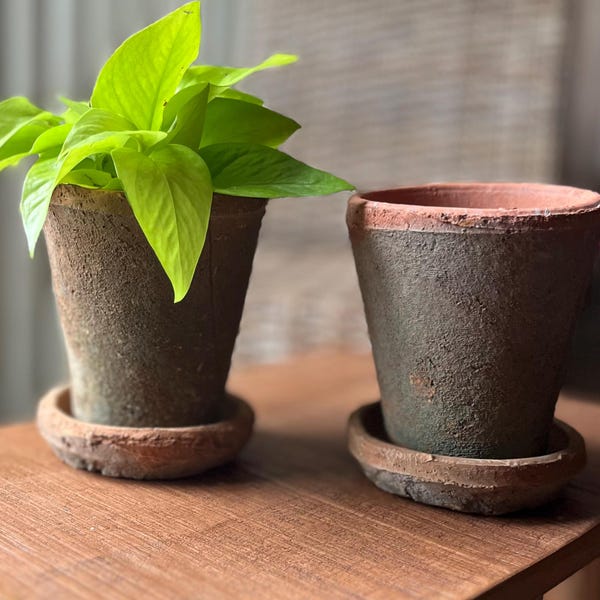 Rustic Pot w/ Saucer - Uneven Surface, Unique - Succulent, Herb - Terracotta Pottery