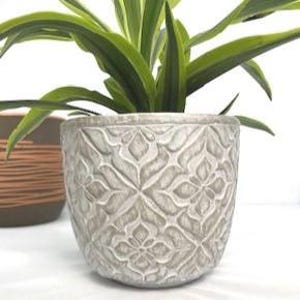 May include: A light gray cylindrical plant pot featuring a raised, repeating floral pattern across its exterior surface. The pot contains a green plant with long, pointed leaves. A second, darker brown pot with horizontal lines is partially visible.