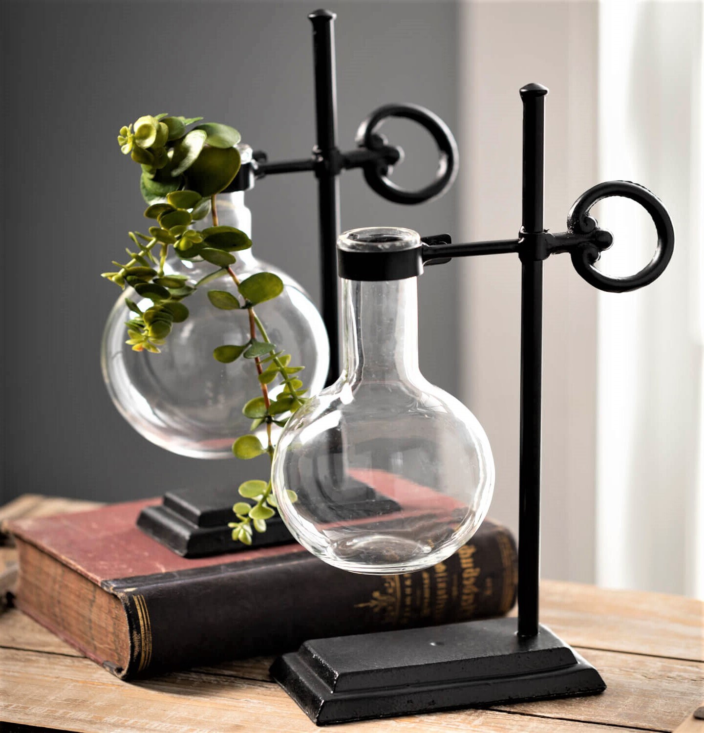 Glass Tube Bottle Flask Beaker Vase with Black Iron Holder | Industrial Decor | Office Library Decor | Shelf Styling Decor